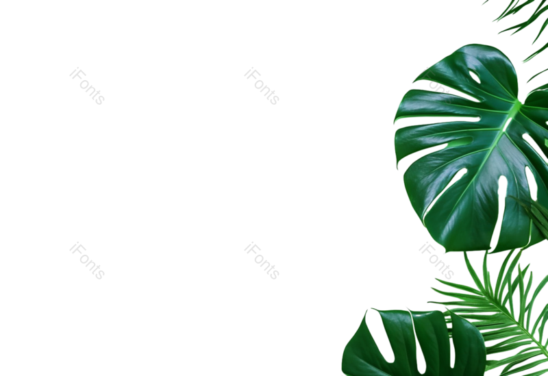 叶子图片,自然元素,绿色背景PNG,植物免抠素材